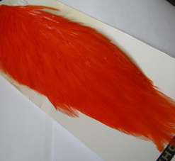 ������ ������  whiting american rooster cape   Orange